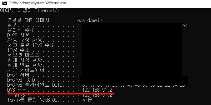 dns 서버 ip 확인