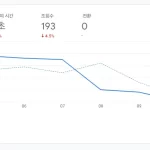 보고서개요_20240211