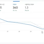 보고서개요_20240303