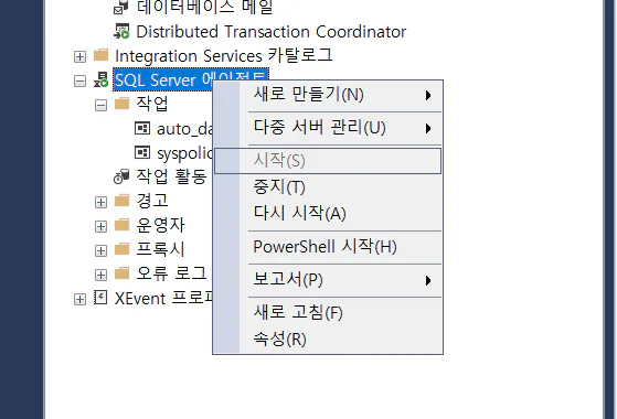 mssql auto backup (19)