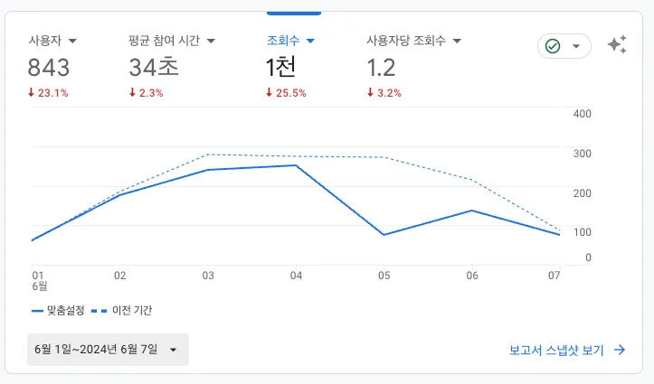 보고서개요_20240609