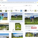 구글 저작권 없는 이미지 확인3