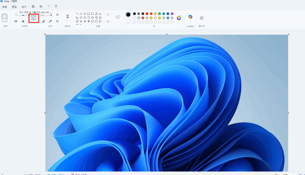 그림판 이미지 크기 조절 (1)