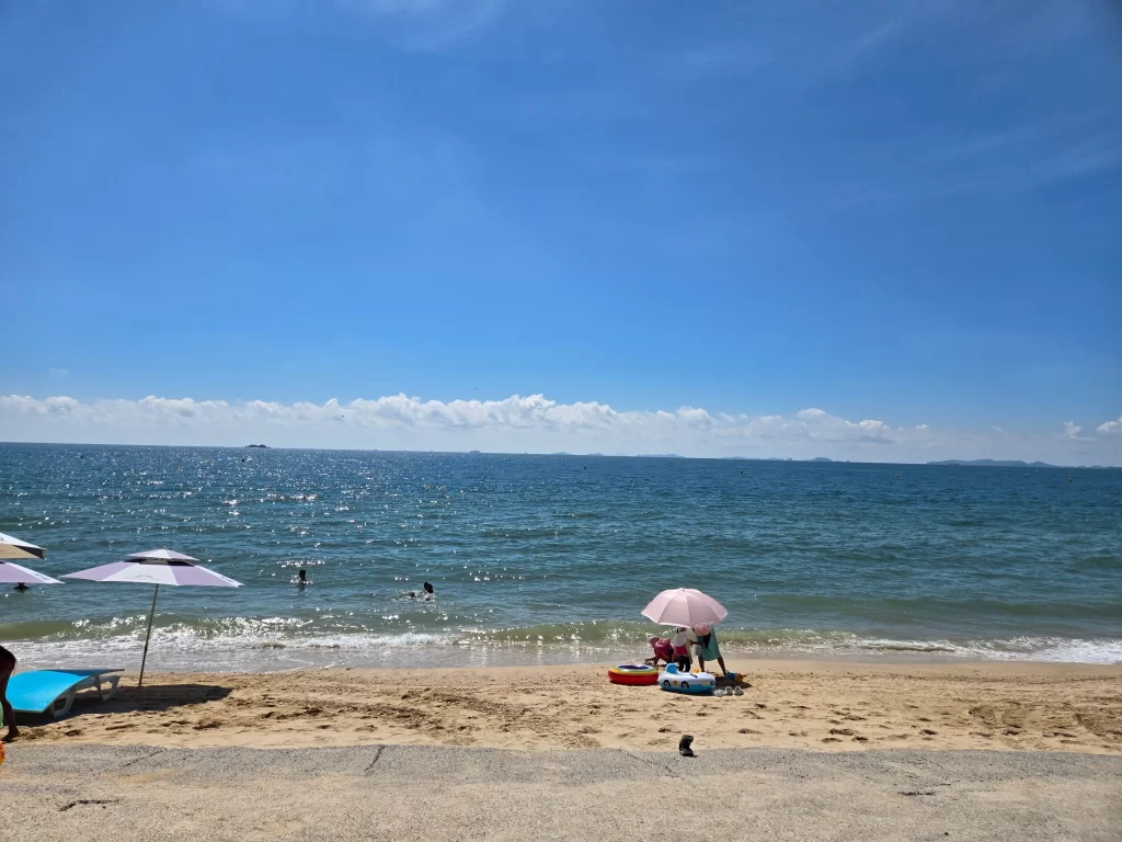 대천해수욕장 주차장2