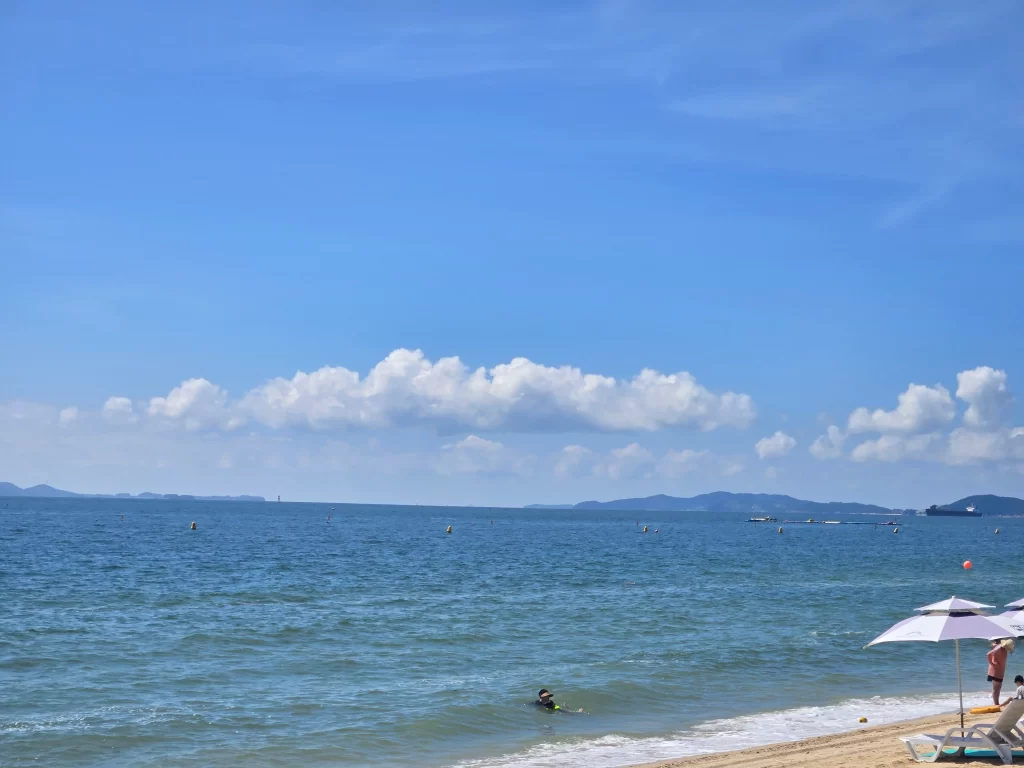 대천해수욕장 카페인대천6