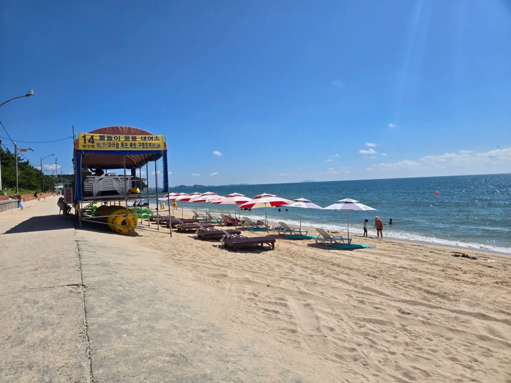 대천해수욕장 카페인대천7