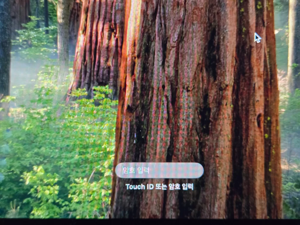 맥미니 블루투스 키보드 연결1