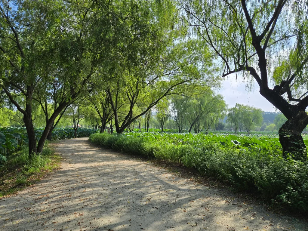 부여 궁남지11