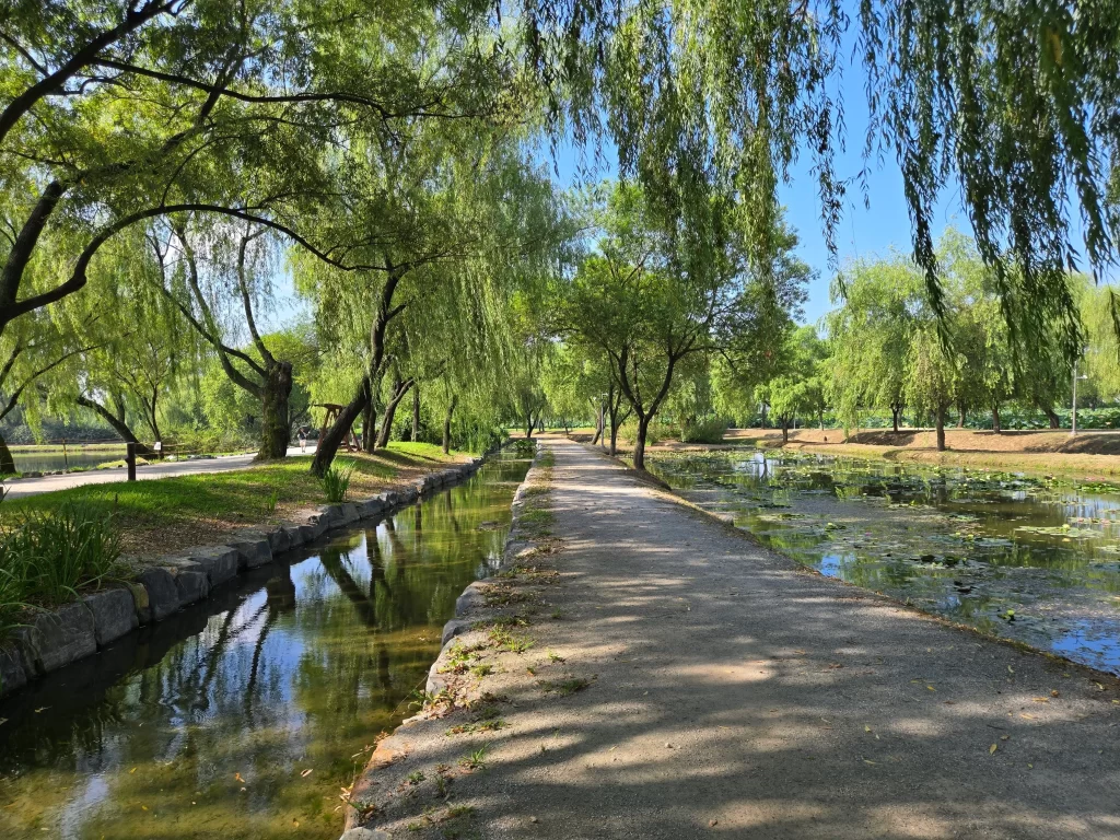 부여 궁남지7