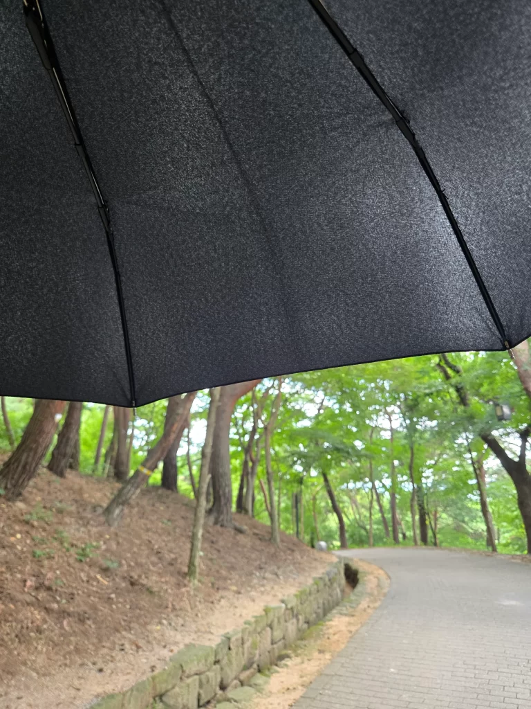 부여 부소산성2