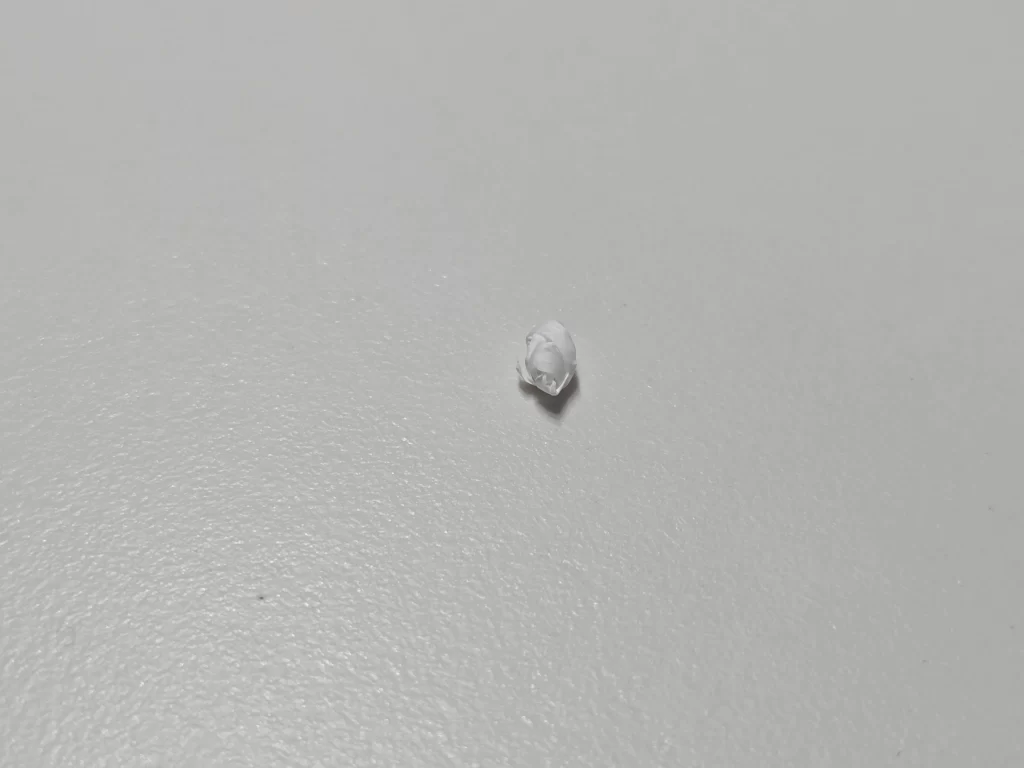 오랄비 치실2