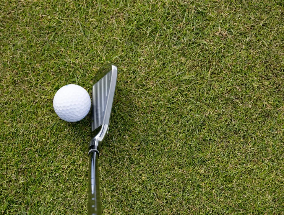 어드레스 클럽 헤드 이미지