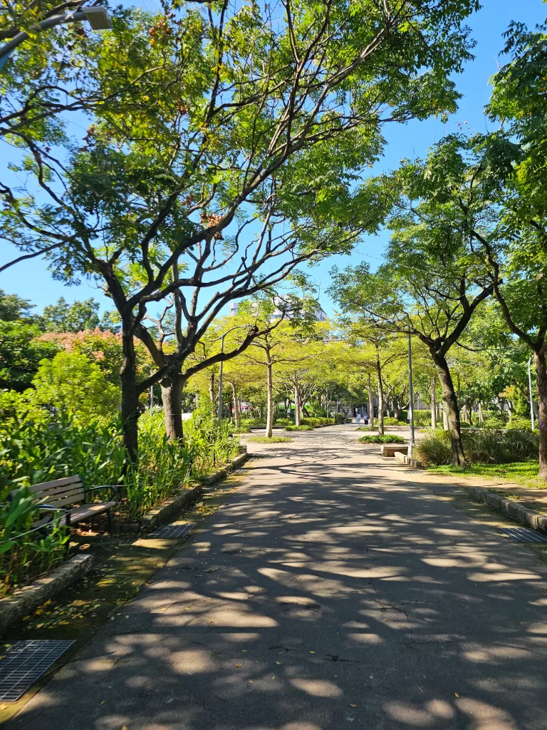 타이베이 거리1