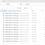 스크린샷 경로